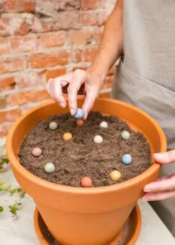 Bombes de fleurs - format oeufs